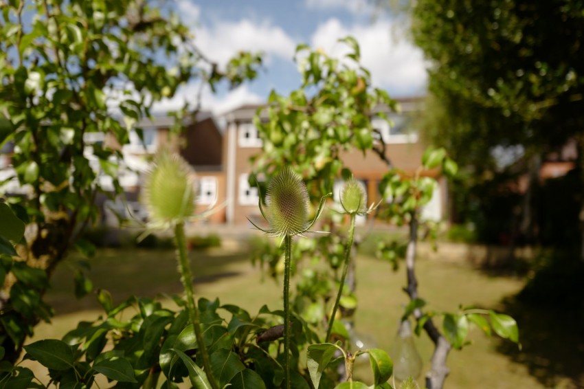 Images for Eastwood, Nottingham