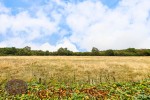 Images for Nuthall, Nottingham