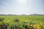 Images for Kimberley, Nottingham